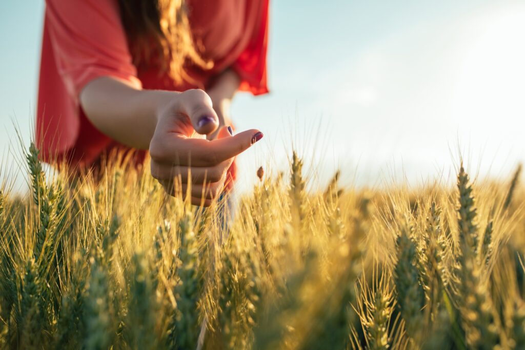 The Gift of Healing